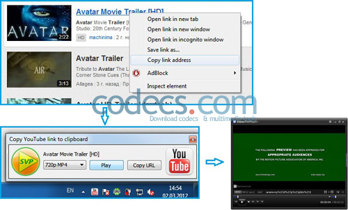 SVPtube 1.0.5 screenshot