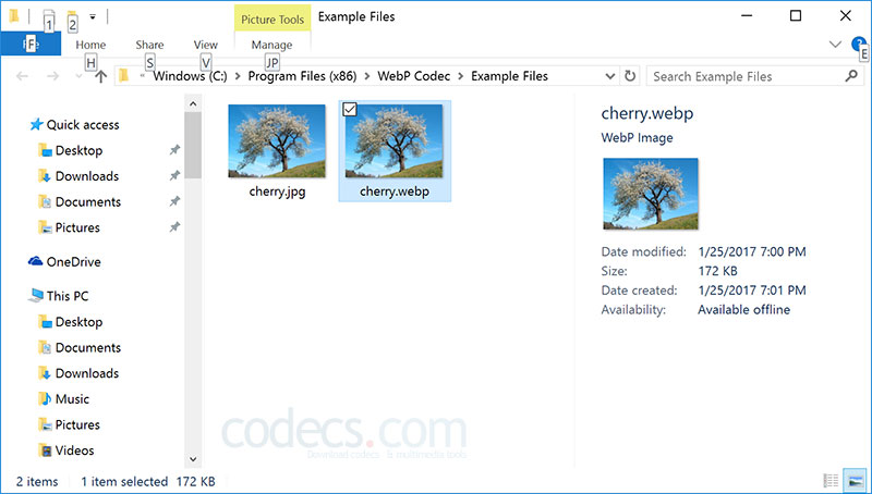 WebP Codec 0.16 screenshot