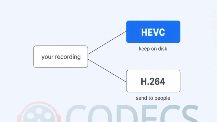 One recording splitting into two paths: an HEVC archive kept on disk, and an H.264 copy made for sharing