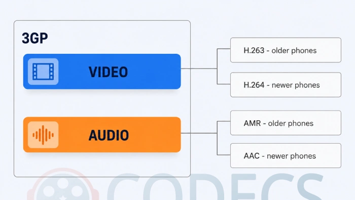 A 3GP box opened to show a video track and an audio track, each listing the old and newer codecs it might hold