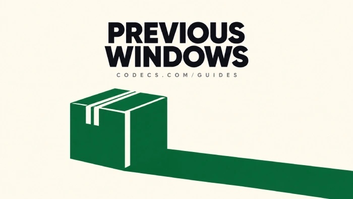 A single sealed cardboard removal box in flat green silhouette on a pale ground, casting a very long hard shadow, under the words PREVIOUS WINDOWS