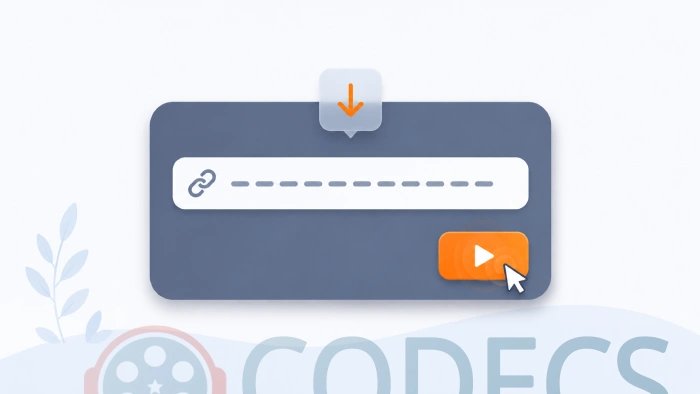 A stream address pasted into a player field with a play button beside it
