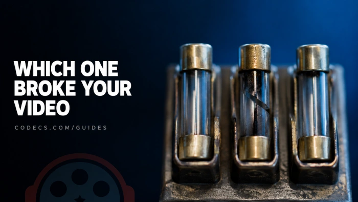 Macro photograph of three glass cartridge fuses in a holder with the middle one blown and its filament broken, titled Which One Broke Your Video