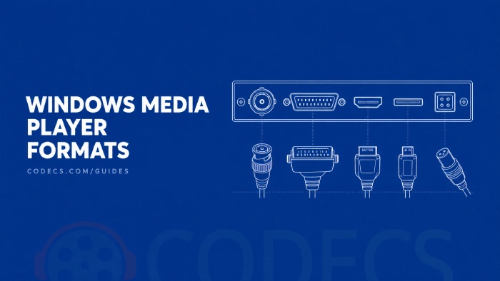 Blueprint-style drawing of a video connector panel with a row of differently shaped sockets and a row of plugs laid out beneath, some matching their socket and one that does not, with the title Windows Media Player Formats and the byline codecs.com/guides