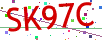 Verification code picture