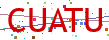 Verification code picture