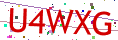Verification code picture