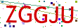 Verification code picture