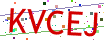 Verification code picture