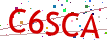 Verification code picture