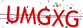 Verification code picture