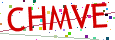 Verification code picture