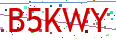 Verification code picture