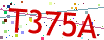 Verification code picture