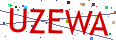 Verification code picture