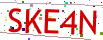 Verification code picture