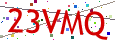 Verification code picture