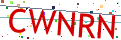 Verification code picture