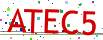 Verification code picture
