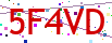 Verification code picture