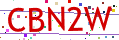 Verification code picture