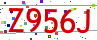 Verification code picture