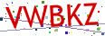 Verification code picture