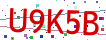 Verification code picture