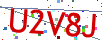 Verification code picture