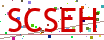 Verification code picture