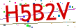 Verification code picture