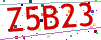 Verification code picture
