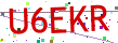 Verification code picture