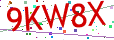 Verification code picture