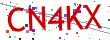 Verification code picture