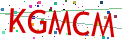 Verification code picture