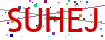Verification code picture