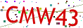 Verification code picture