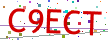 Verification code picture