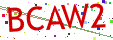 Verification code picture