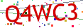 Verification code picture