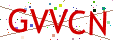 Verification code picture