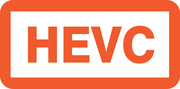HEVC or H.265 video format