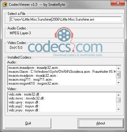 CodecViewer 1.5 screenshot