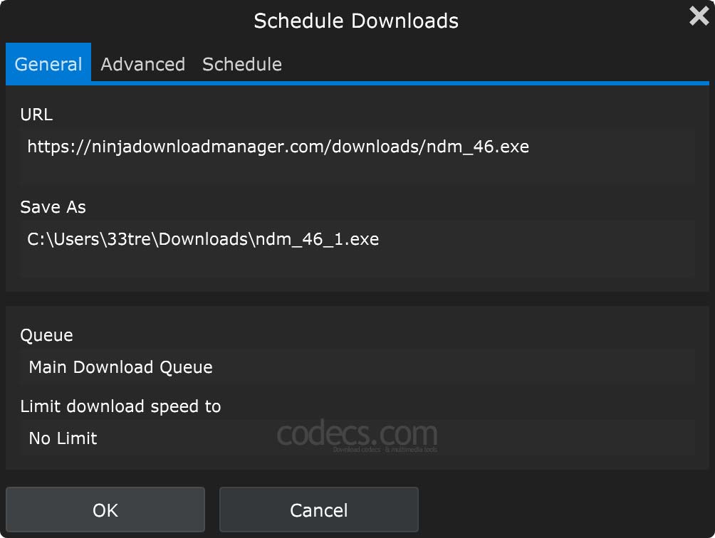 Ninja Download Manager 46 screenshot