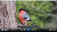 ALLPlayer 8.9.5 screenshot
