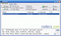 AVIcodec 1.2.0.113 screenshot