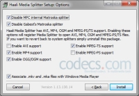 Haali Media Splitter 1.13 screenshot