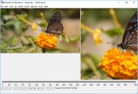 VirtualDub2 20.44282 screenshot