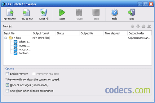 WinAVI FLV Converter 1.0.1 screenshot